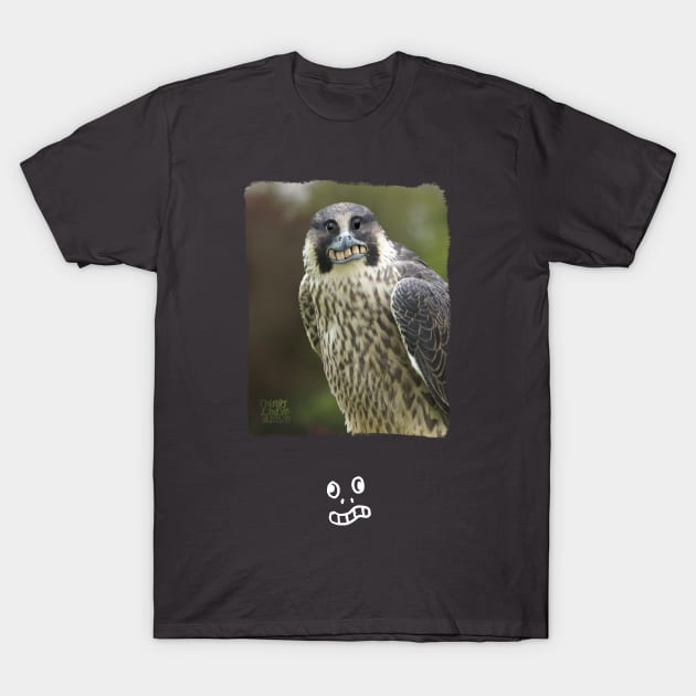 Peregrine Falcon T-Shirt by Things I Have Drawn